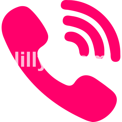 Bareilly Call Girls service